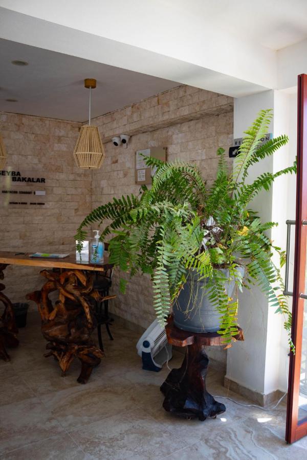 Hotel Seyba Bakalar Bacalar Zewnętrze zdjęcie